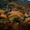 Colores de otoño extremeño