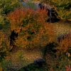 Colores de otoño extremeño