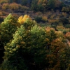 Colores de otoño extremeño