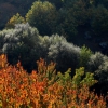 Colores de otoño extremeño