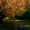 Colores de otoño extremeño