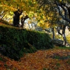 Colores de otoño extremeño