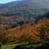Colores de otoño extremeño