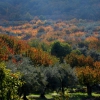 Colores de otoño extremeño