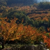 Colores de otoño extremeño