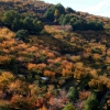 Colores de otoño extremeño