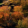 Colores de otoño extremeño
