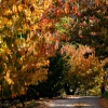 Colores de otoño extremeño