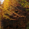 Colores de otoño extremeño