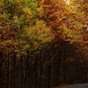 Colores de otoño extremeño