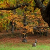 Colores de otoño extremeño