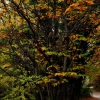 Colores de otoño extremeño
