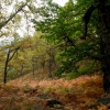 Colores de otoño extremeño