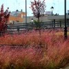 Otoño en Badajoz