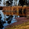 Un paseo por el Guadiana I
