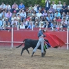 Éxito de asistencia en el Festival Taurino de Las Vaguadas