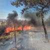 Imágenes del incendio que afecta a las inmediaciones de Las Vaguadas (Badajoz)