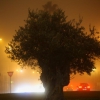 Cuando Badajoz parece Londres,...
