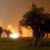 Cuando Badajoz parece Londres,...