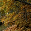 Colores de otoño extremeño