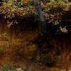 Colores de otoño extremeño