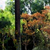Otoño en Badajoz