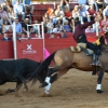 Éxito de asistencia en el Festival Taurino de Las Vaguadas