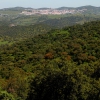 La dehesa pacense en abril