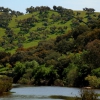 La dehesa pacense en abril