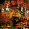 Otoño en Badajoz