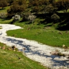 La dehesa pacense en abril