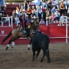 Éxito de asistencia en el Festival Taurino de Las Vaguadas