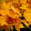Otoño en Badajoz