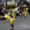 Gran Desfile de Comparsas del Carnaval de Badajoz 2013 - Parte 2