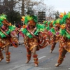 Gran Desfile de Comparsas del Carnaval de Badajoz 2013 - Parte 2