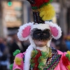 Entierro de la Sardina del Carnaval de Badajoz 2013