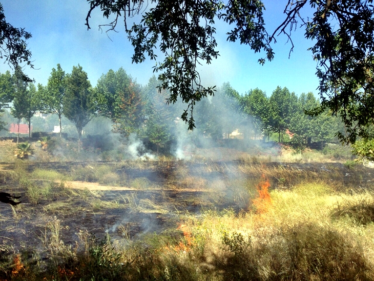 Un incendio se acerca a las viviendas de la carretera de Sevilla