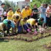 Usuarios del centro Proserpina y Aprosuba 7 crean un jardín de oxígeno en Mérida