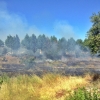 Un incendio se acerca a las viviendas de la carretera de Sevilla