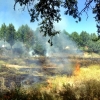 Un incendio se acerca a las viviendas de la carretera de Sevilla