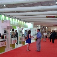 El vino extremeño se promociona en la FENAVIN de Ciudad Real