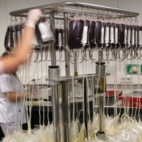 La importancia del Banco de Sangre y Tejidos de Extremadura