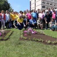 Usuarios del centro Proserpina y Aprosuba 7 crean un jardín de oxígeno en Mérida