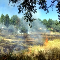 Un incendio se acerca a las viviendas de la carretera de Sevilla