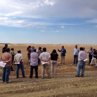 El cultivo de triticale reduce los costes de alimentación animal, según CICYTEX