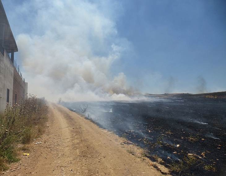 Un incendio amenaza una barriada de Badajoz