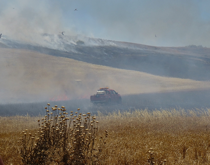 Un incendio amenaza una barriada de Badajoz