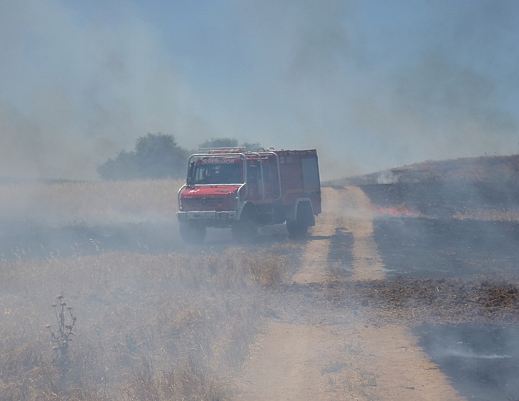 Un incendio amenaza una barriada de Badajoz