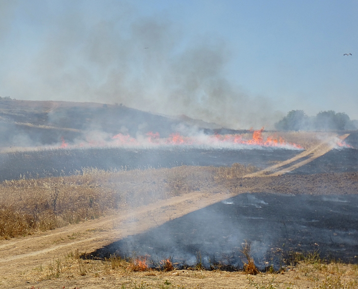 Un incendio amenaza una barriada de Badajoz