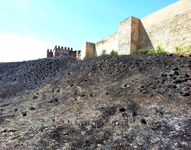 La Cívica pide la limpieza de las laderas de la Alcazaba y San Cristóbal para evitar incendios
